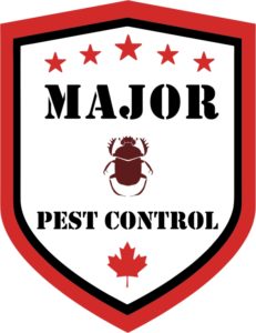 Major Pest Control Services Edmonton Company Best Pest Control