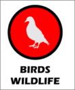 bird control and wildlife control company edmonton