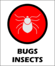 Namao Area 5 pest control edmonton bugs insects cockroaches bedbugs ticks fleas