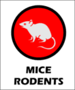 edmonton mouse and rodent control edmonton pest company