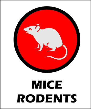 Mice and Rodents pest control in Leduc county, major pest control for mice and other rodents