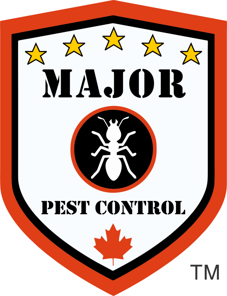 Major Pest Control Services Edmonton Company Best Pest Control Beaumont