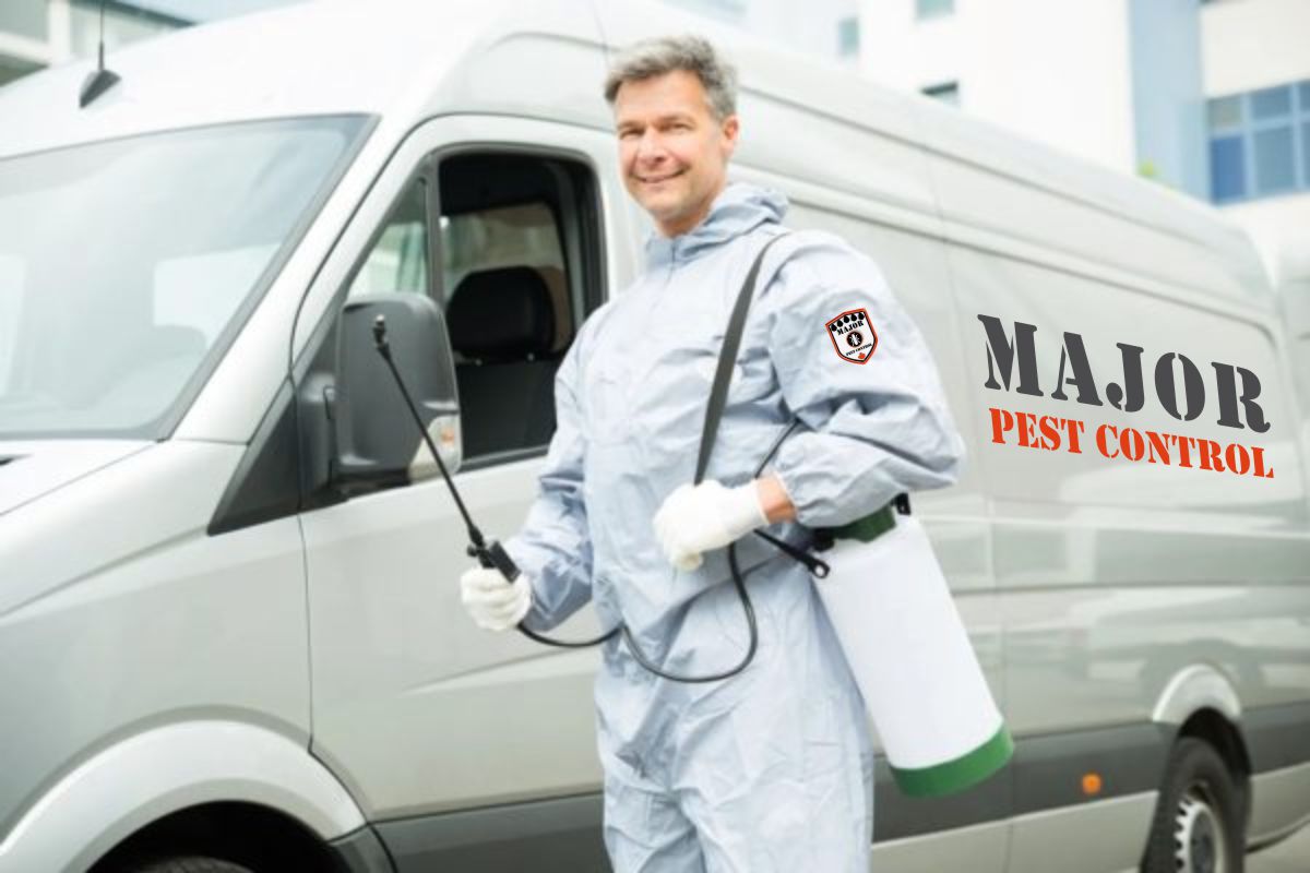 Best Pest Control Edmonton Exterminator