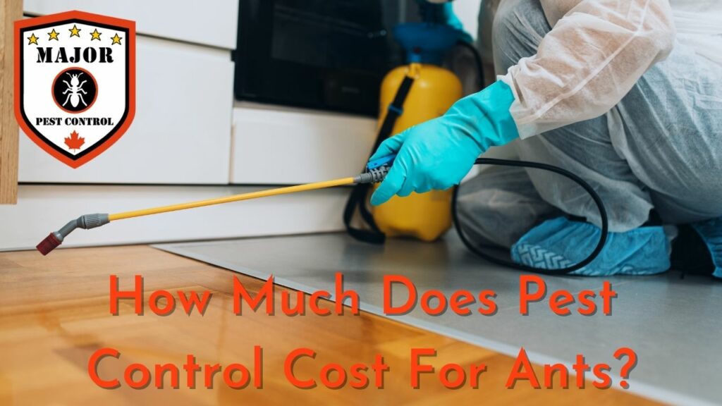 How Much Does Pest Control Cost For Ants?