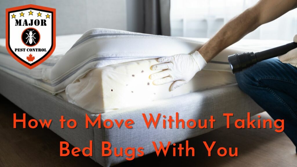 How to Move Without Taking Bed Bugs With You