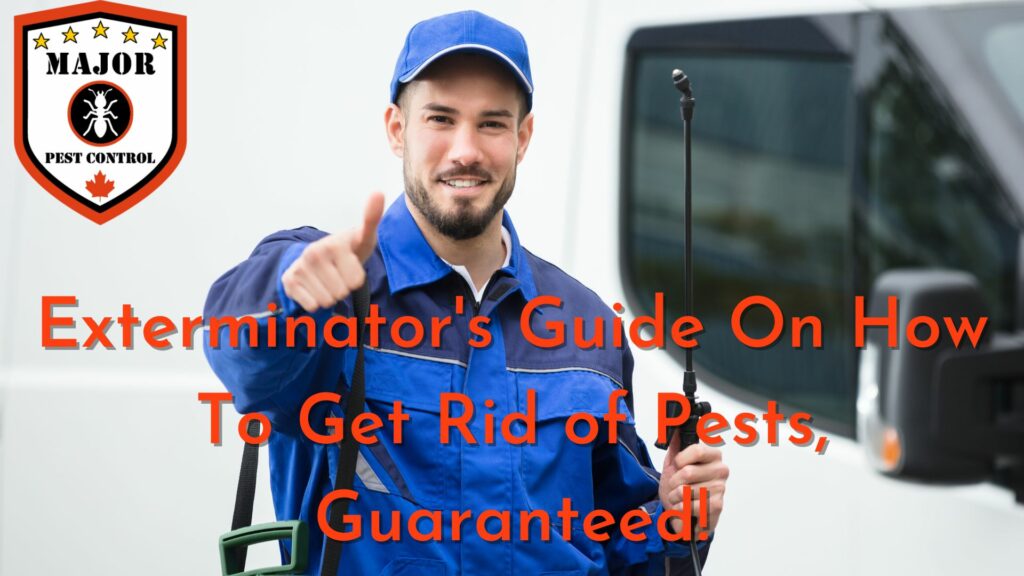 Exterminator's Guide On How To Get Rid of Pests, Guaranteed!