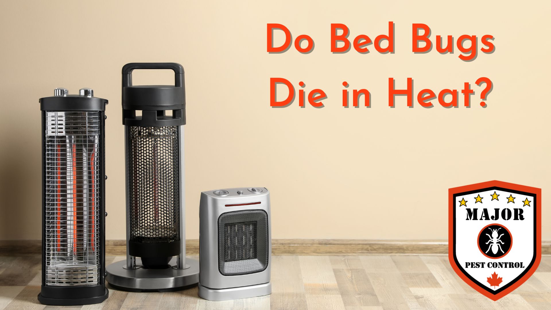 Do Bed Bugs Die in Heat