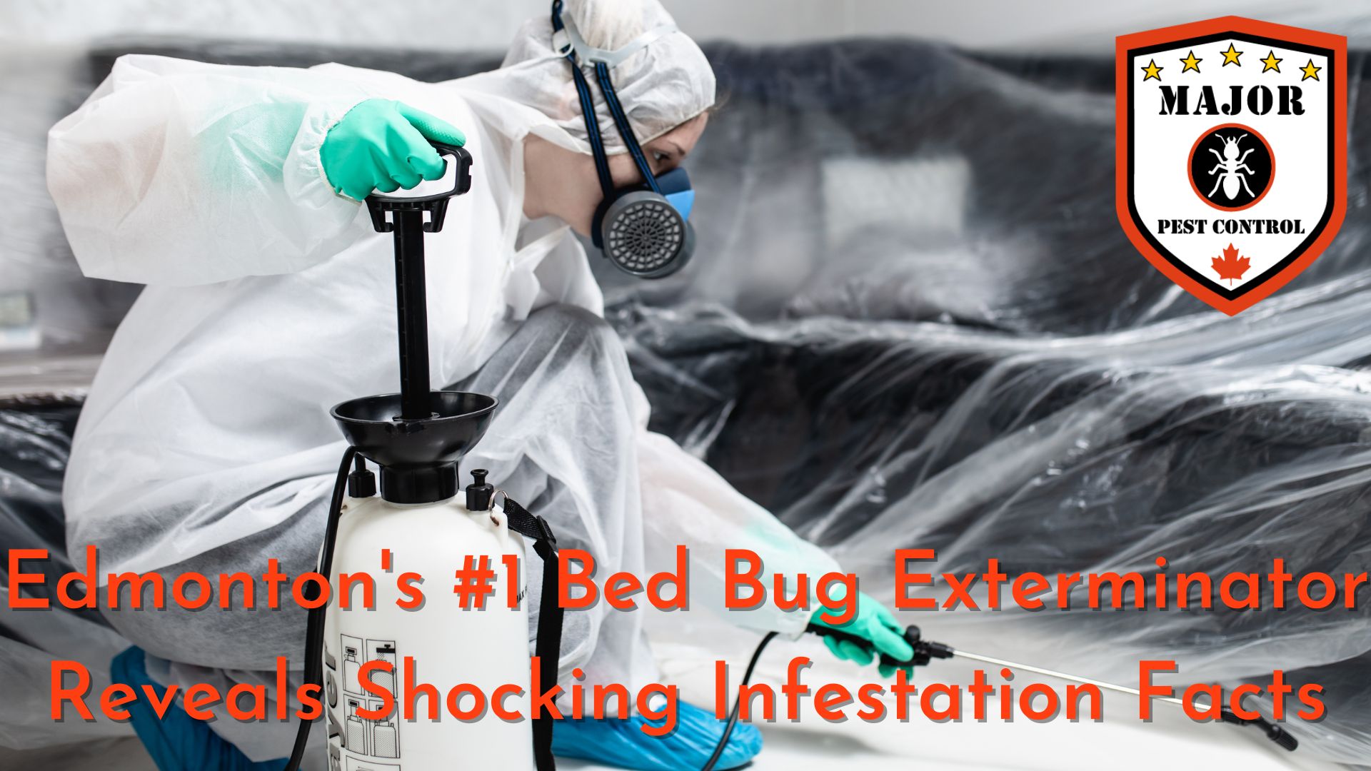 Edmonton's #1 Bed Bug Exterminator Reveals Shocking Infestation Facts