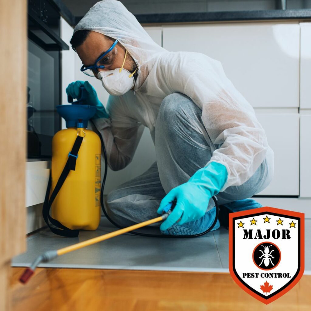 Effective Pest Exterminator