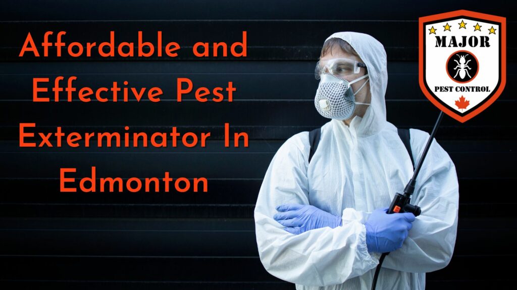 Effective Pest Exterminator In Edmonton