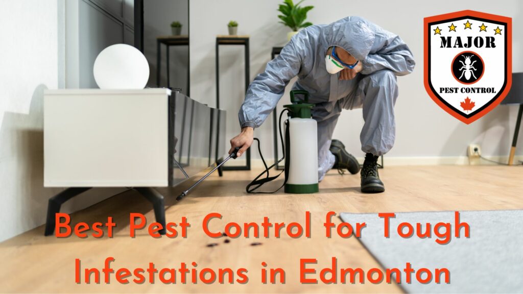 Best Pest Control for Tough Infestations in Edmonton