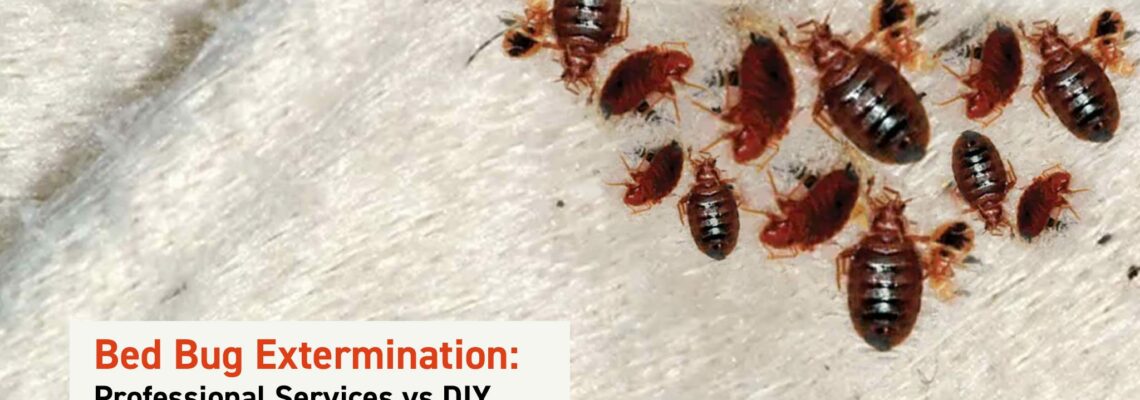 Bed Bug Extermination: Professional Services vs DIY Methods Compared in Edmonton