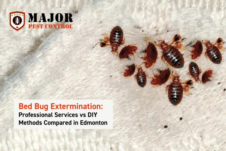 Bed Bug Extermination: Professional Services vs DIY Methods Compared in Edmonton