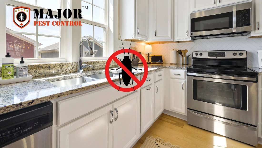 how-to-get-rid-of-roaches