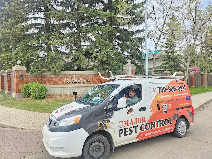 How to Get Rid of Ants in Your Edmonton Home 4 Why Choose Major Pest Control in Edmonton